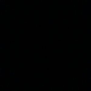 Meet your Posher, Delaney